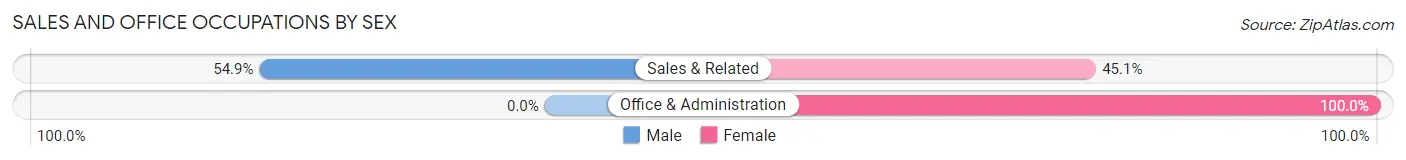 Sales and Office Occupations by Sex in Hudson Oaks