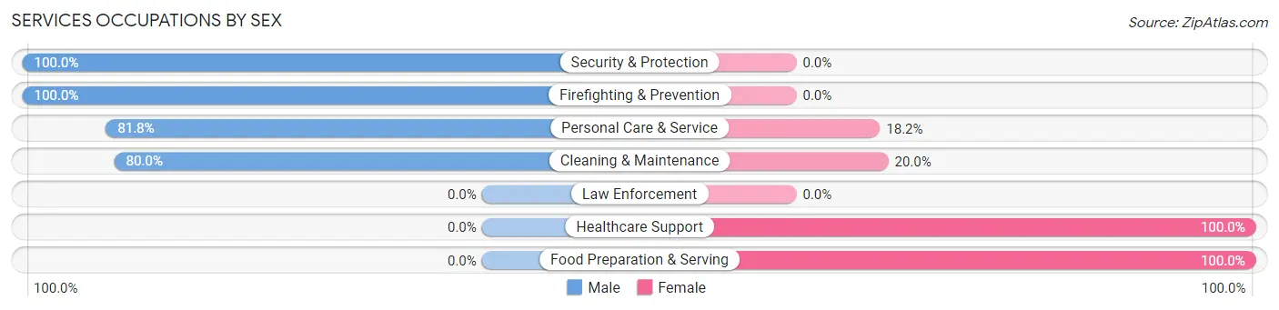 Services Occupations by Sex in Hudson Oaks