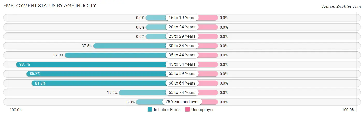 Employment Status by Age in Jolly