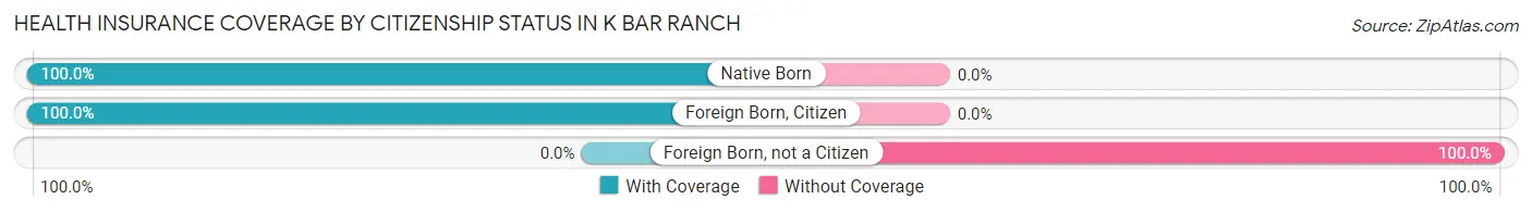 Health Insurance Coverage by Citizenship Status in K Bar Ranch