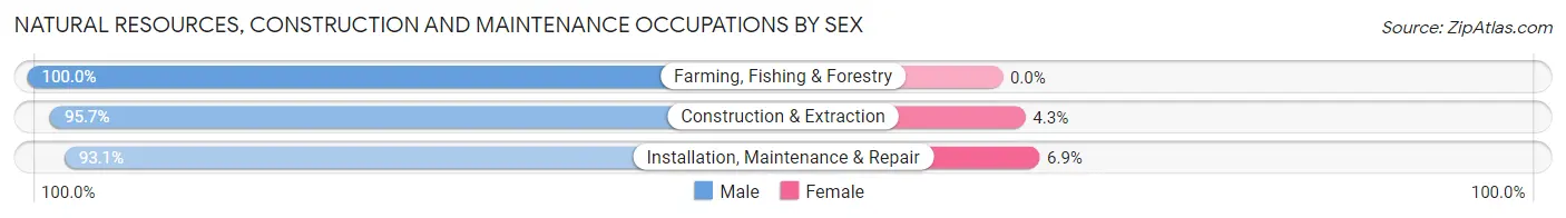 Natural Resources, Construction and Maintenance Occupations by Sex in Killeen