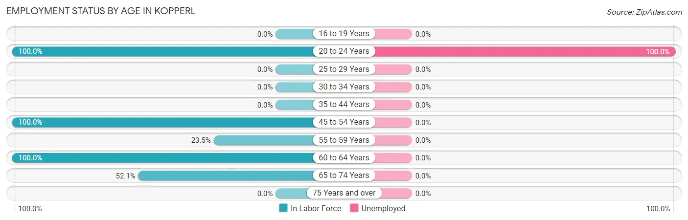 Employment Status by Age in Kopperl