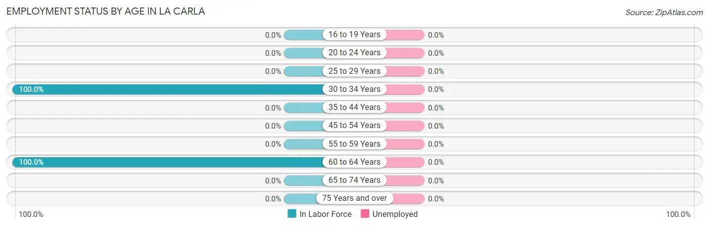 Employment Status by Age in La Carla