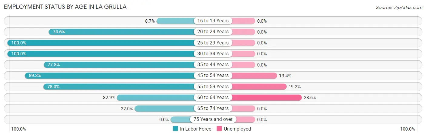 Employment Status by Age in La Grulla