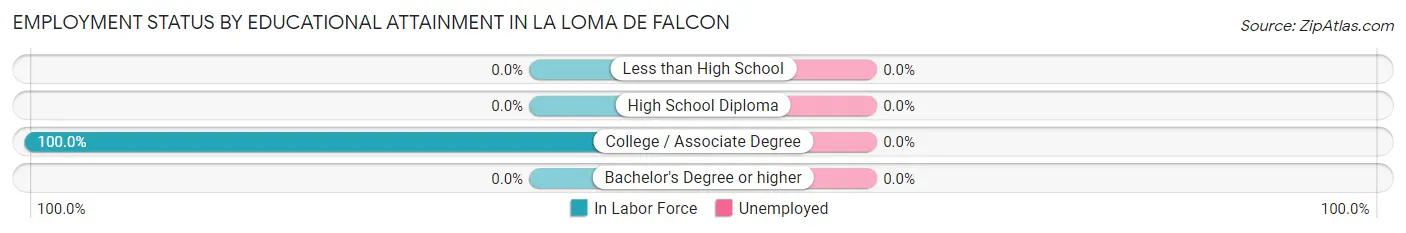 Employment Status by Educational Attainment in La Loma de Falcon