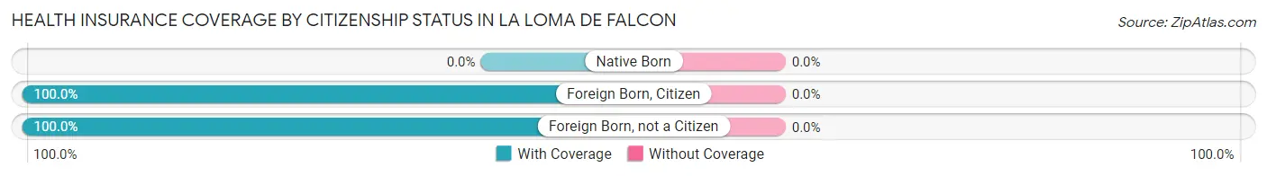 Health Insurance Coverage by Citizenship Status in La Loma de Falcon