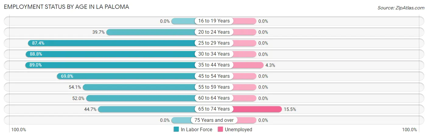 Employment Status by Age in La Paloma