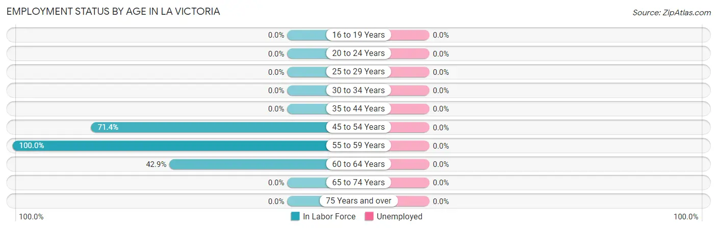 Employment Status by Age in La Victoria