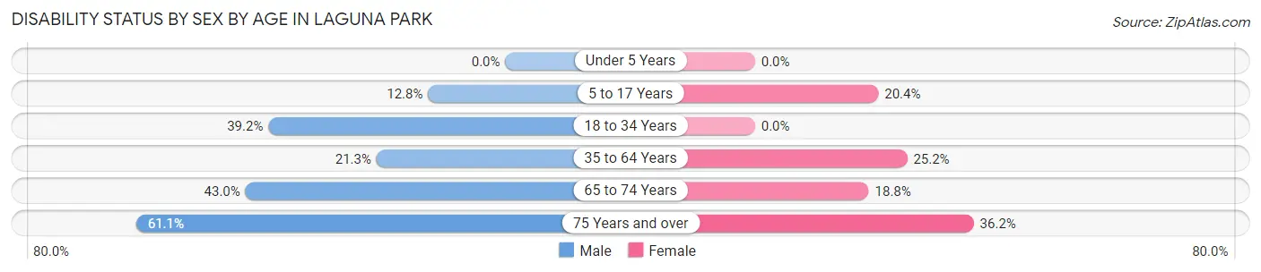Disability Status by Sex by Age in Laguna Park