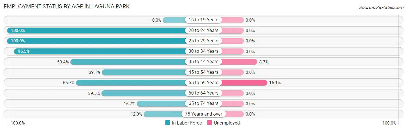 Employment Status by Age in Laguna Park