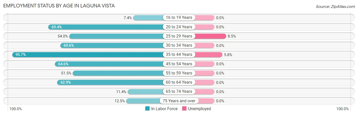 Employment Status by Age in Laguna Vista