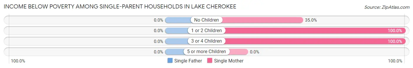 Income Below Poverty Among Single-Parent Households in Lake Cherokee
