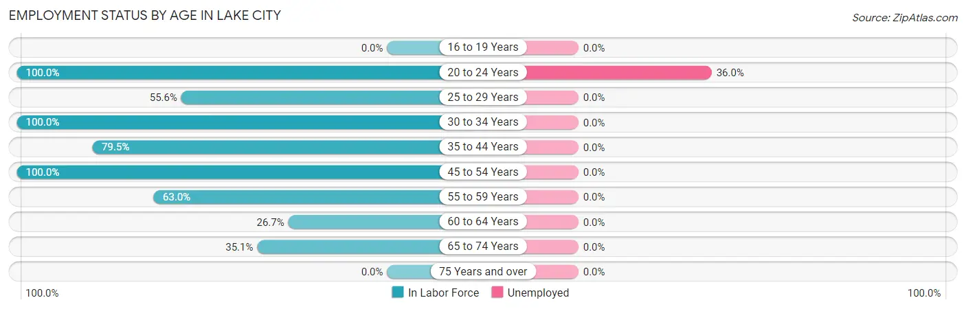 Employment Status by Age in Lake City