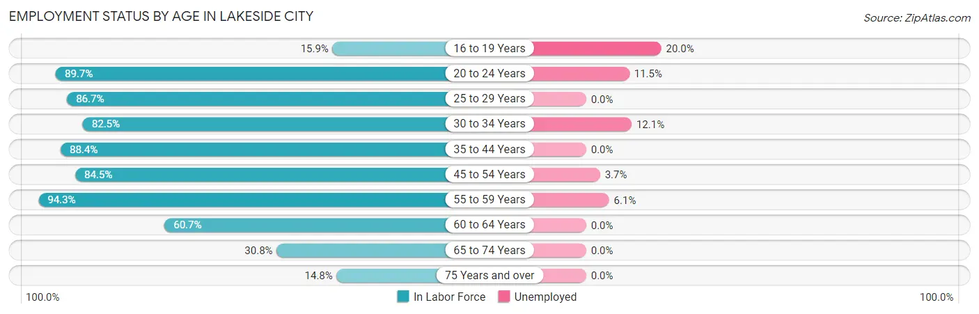 Employment Status by Age in Lakeside City