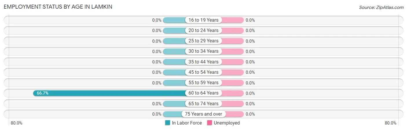 Employment Status by Age in Lamkin