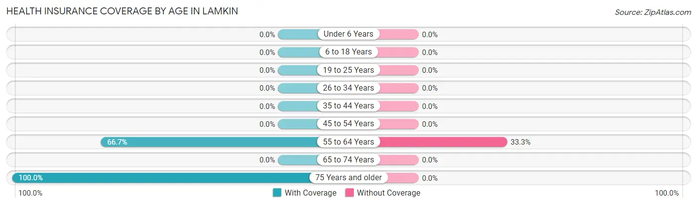 Health Insurance Coverage by Age in Lamkin