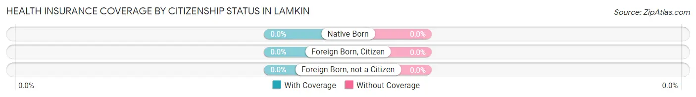 Health Insurance Coverage by Citizenship Status in Lamkin