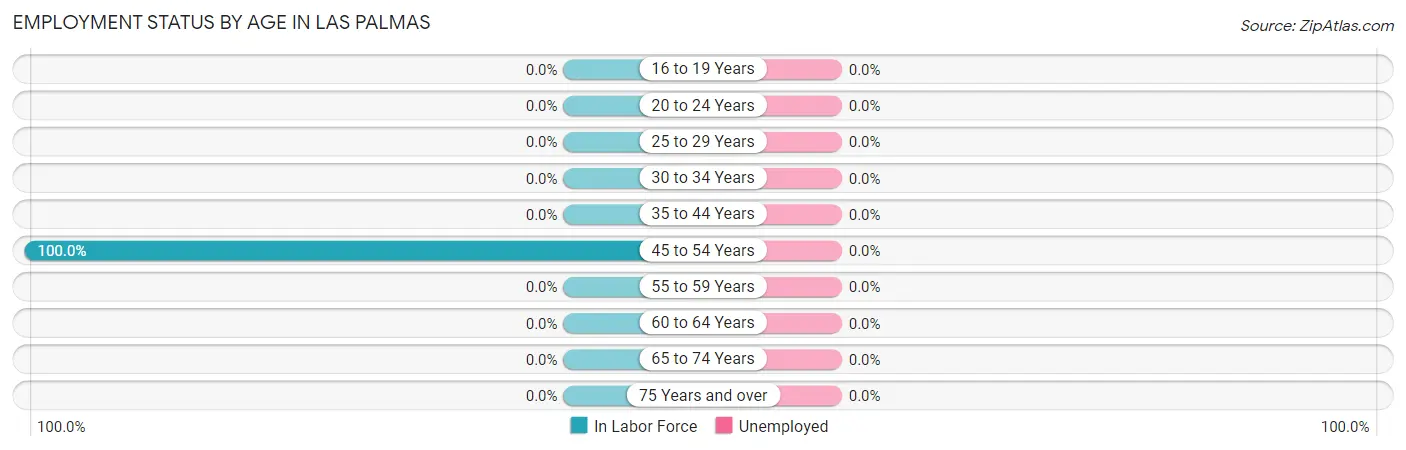 Employment Status by Age in Las Palmas