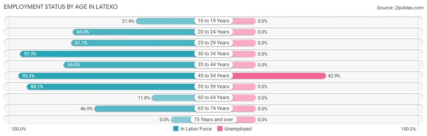 Employment Status by Age in Latexo