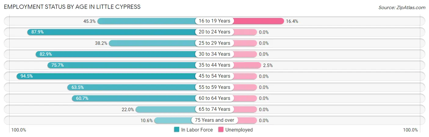 Employment Status by Age in Little Cypress