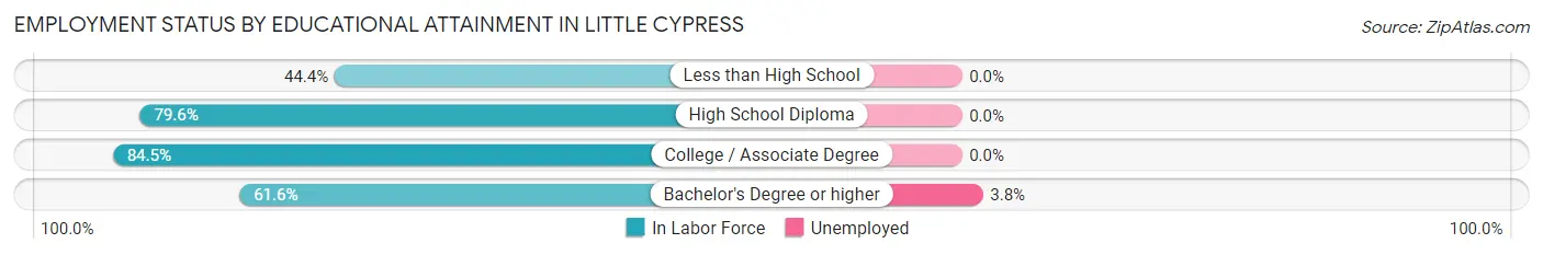 Employment Status by Educational Attainment in Little Cypress