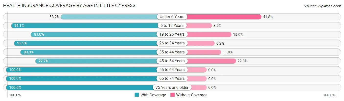 Health Insurance Coverage by Age in Little Cypress