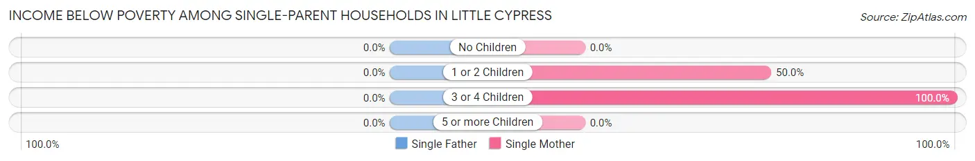 Income Below Poverty Among Single-Parent Households in Little Cypress