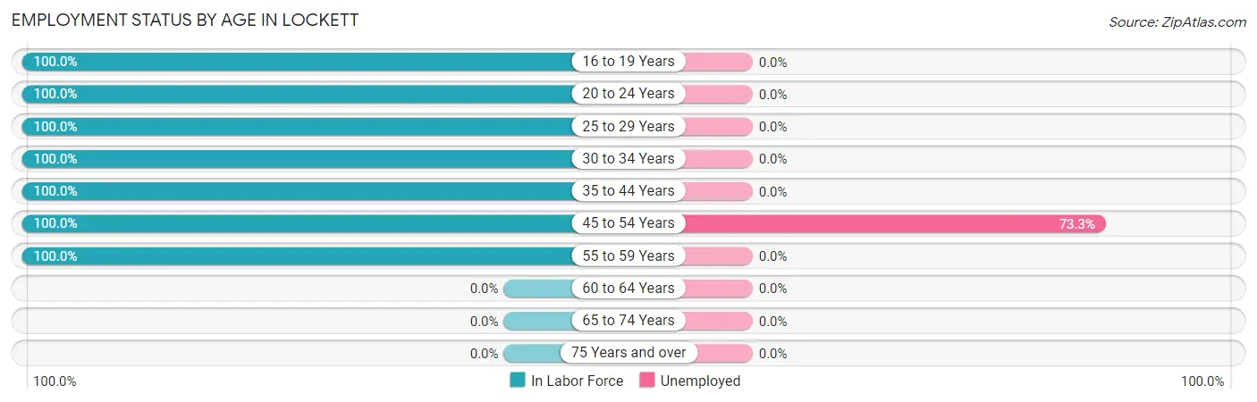 Employment Status by Age in Lockett