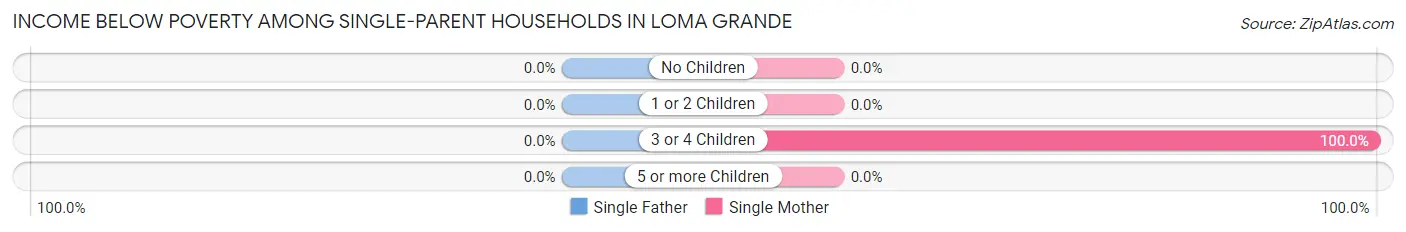 Income Below Poverty Among Single-Parent Households in Loma Grande