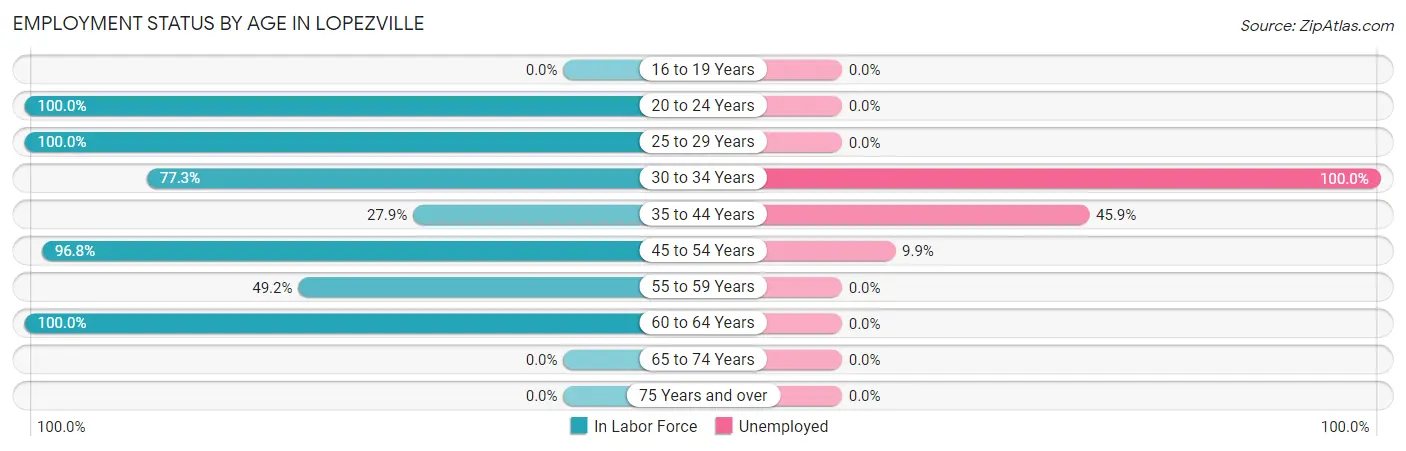 Employment Status by Age in Lopezville