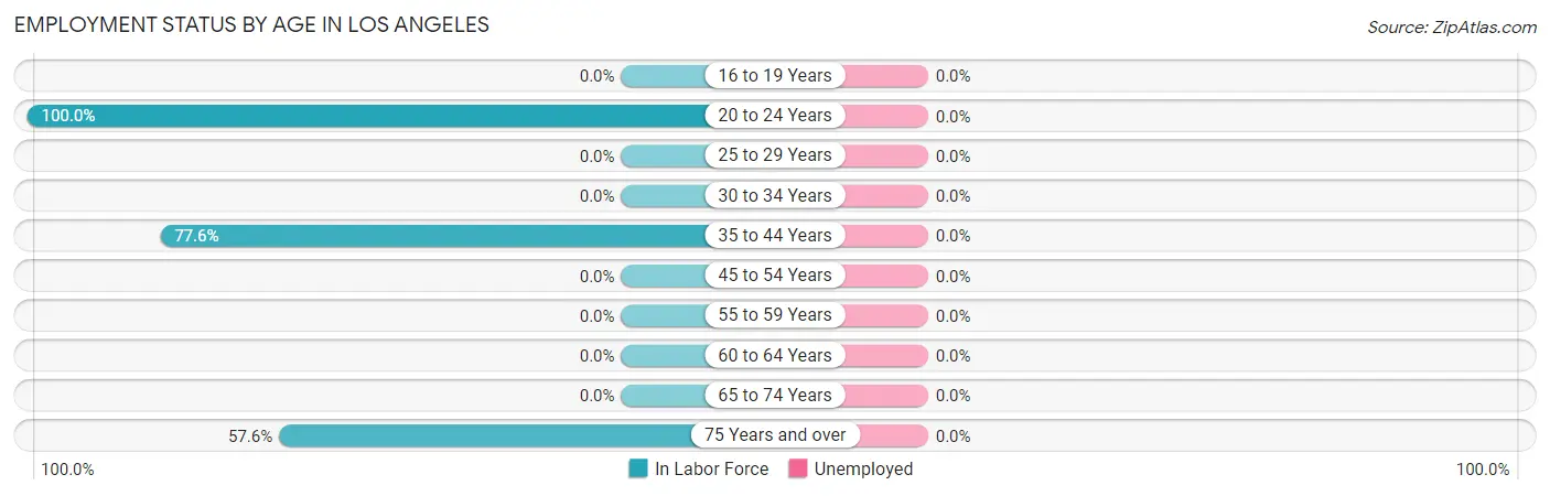 Employment Status by Age in Los Angeles