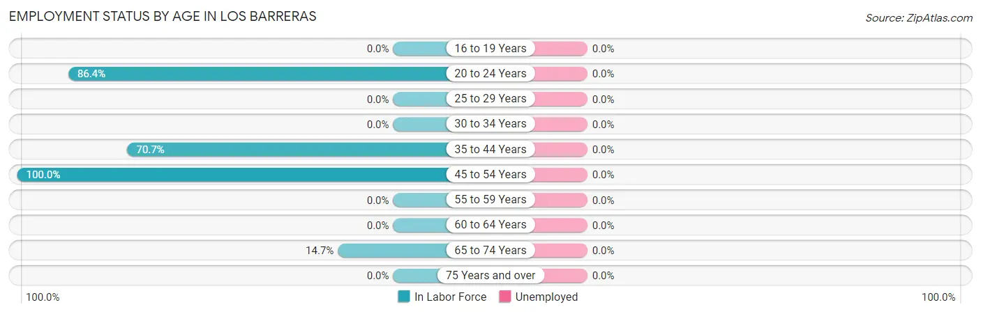 Employment Status by Age in Los Barreras