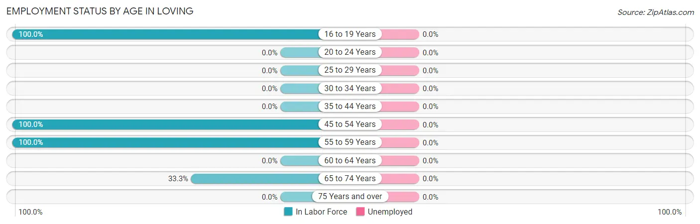 Employment Status by Age in Loving