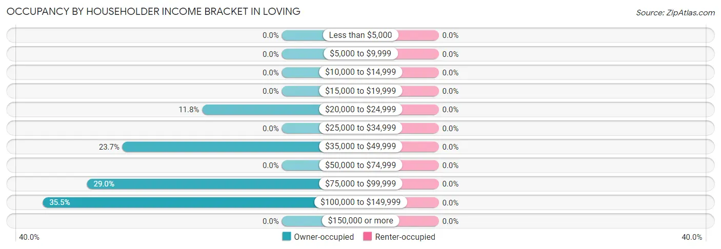 Occupancy by Householder Income Bracket in Loving