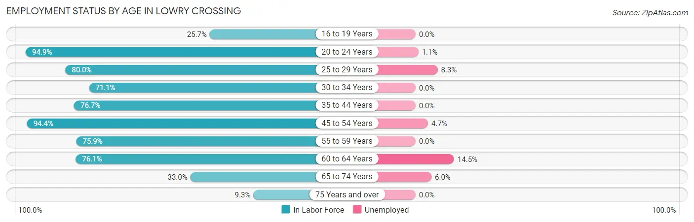 Employment Status by Age in Lowry Crossing