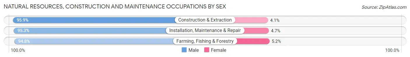 Natural Resources, Construction and Maintenance Occupations by Sex in Lubbock