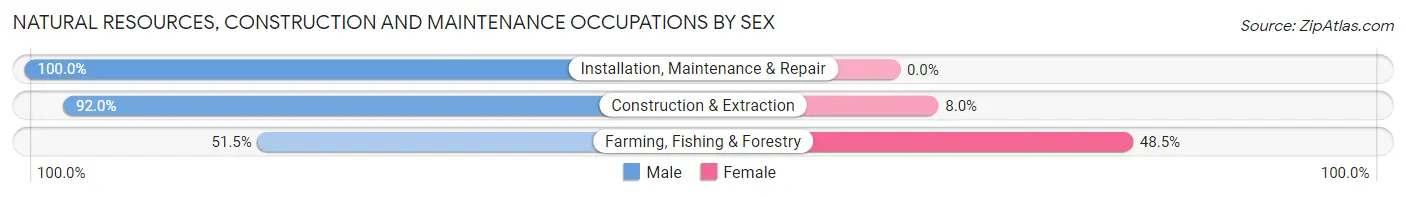 Natural Resources, Construction and Maintenance Occupations by Sex in Madisonville