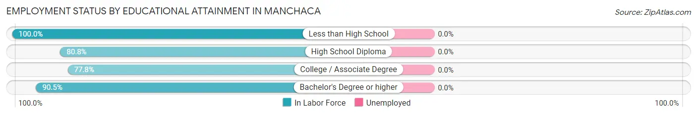 Employment Status by Educational Attainment in Manchaca