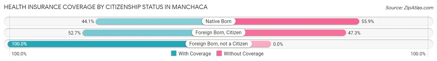 Health Insurance Coverage by Citizenship Status in Manchaca