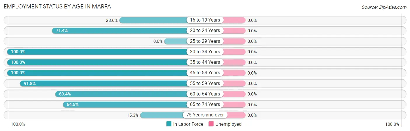 Employment Status by Age in Marfa