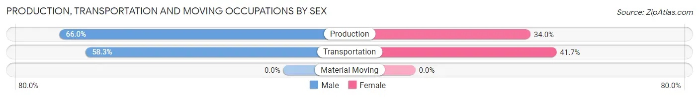 Production, Transportation and Moving Occupations by Sex in Martindale