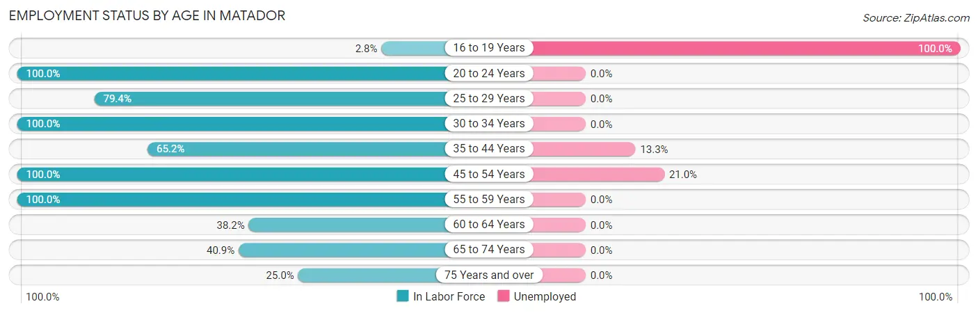Employment Status by Age in Matador