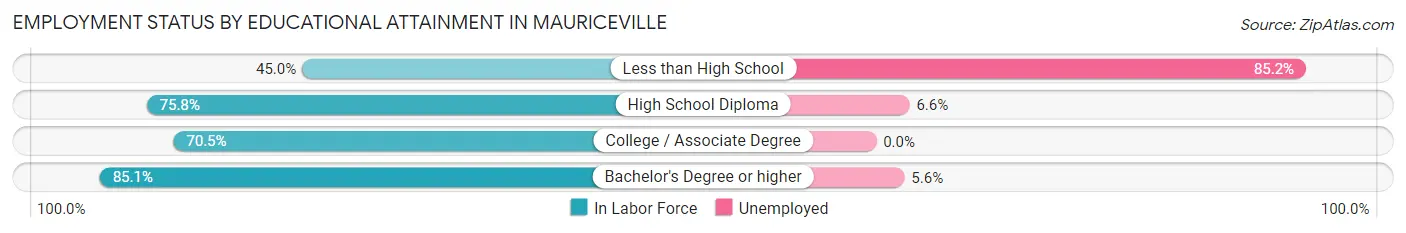 Employment Status by Educational Attainment in Mauriceville