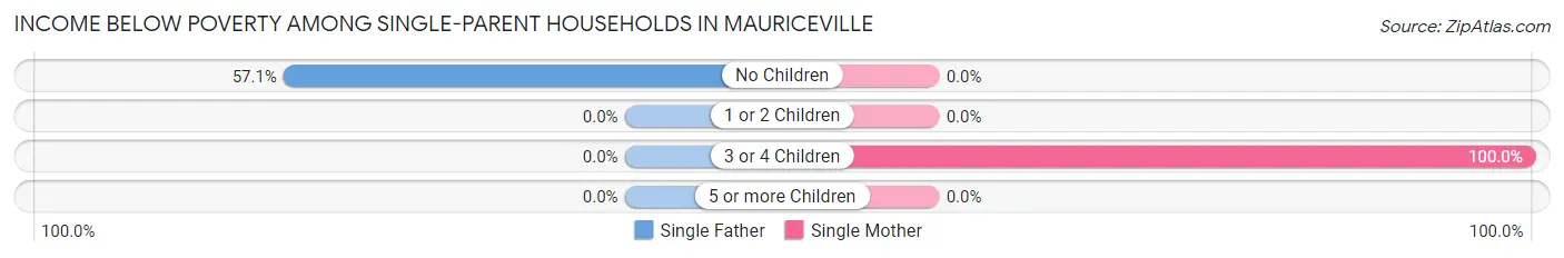 Income Below Poverty Among Single-Parent Households in Mauriceville