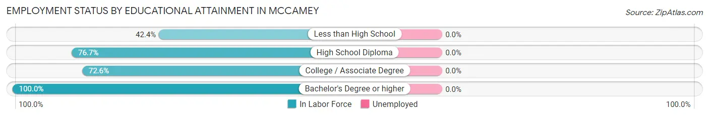 Employment Status by Educational Attainment in McCamey