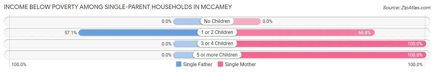 Income Below Poverty Among Single-Parent Households in McCamey