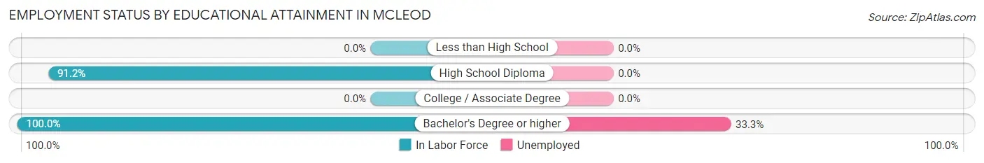 Employment Status by Educational Attainment in McLeod