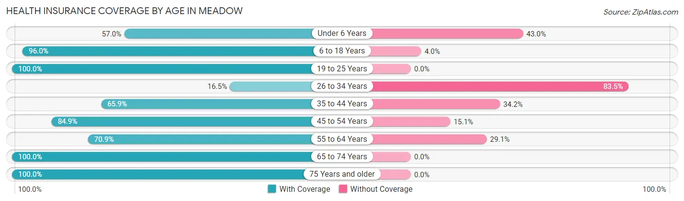 Health Insurance Coverage by Age in Meadow