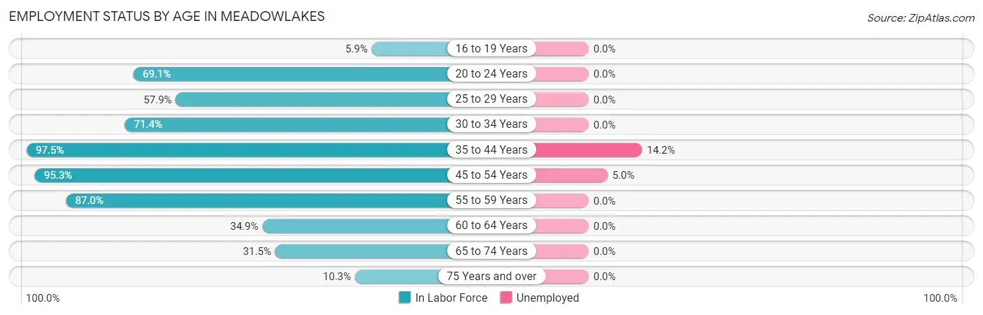 Employment Status by Age in Meadowlakes