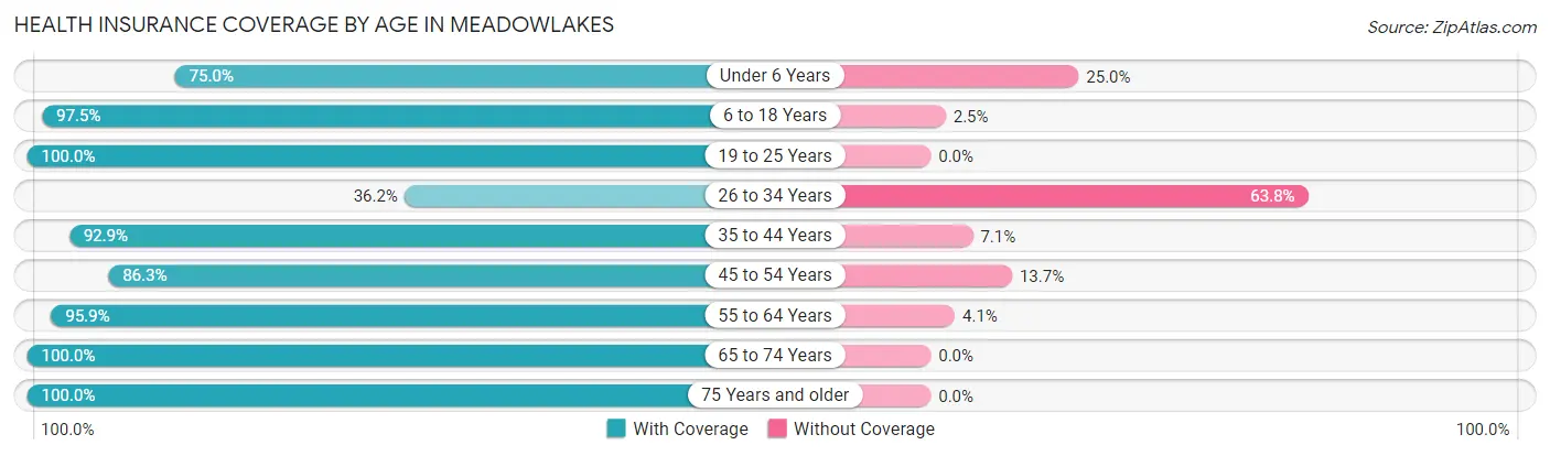 Health Insurance Coverage by Age in Meadowlakes